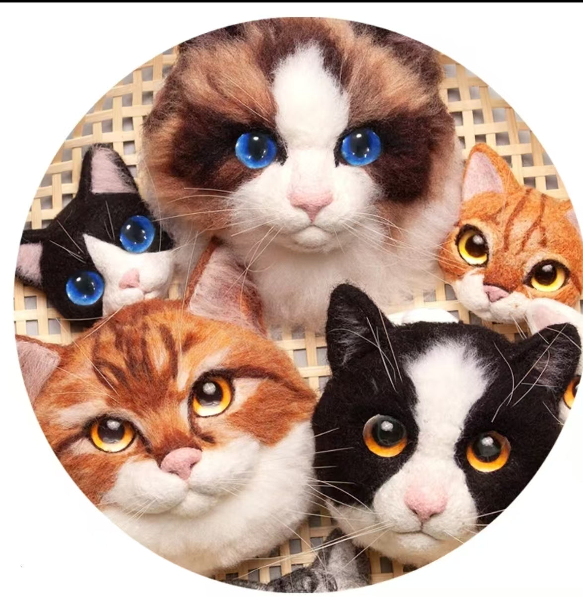 Cat Customize Wool-Felt